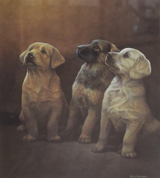 Two Nigel Hemming limited edition prints of Labradors Largest 37 x 70cm.